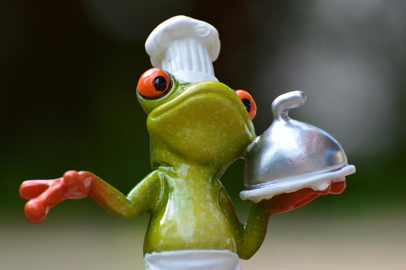 Gourmet Exploration